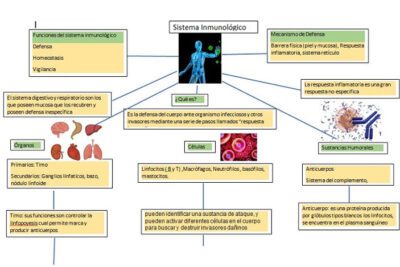 Sistema-Inmunologico-cuadro-sinoptico